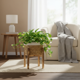 Waterproof Rattan Pot with Wooden Base