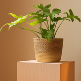 Rattan Waterproof-Lined Plant Basket