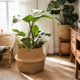 ins Nordic hand-woven flower pots and straw storage baskets garden rattan ornaments floor creative indoor flower baskets