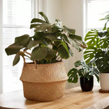 ins Nordic hand-woven flower pots and straw storage baskets garden rattan ornaments floor creative indoor flower baskets