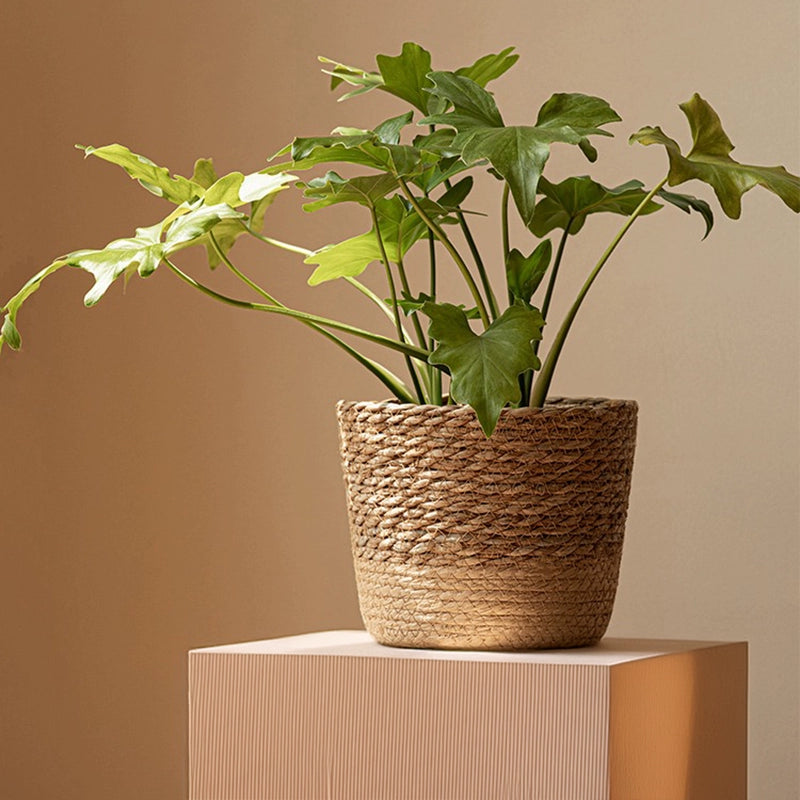 Household rattan straw flower pot set waterproof design decorative monstera exterior cover pot large, medium and small combination handle woven flower pot
