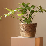 Household rattan straw flower pot set waterproof design decorative monstera exterior cover pot large, medium and small combination handle woven flower pot