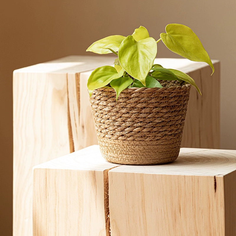 Household rattan straw flower pot set waterproof design decorative monstera exterior cover pot large, medium and small combination handle woven flower pot
