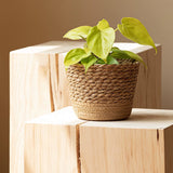 Household rattan straw flower pot set waterproof design decorative monstera exterior cover pot large, medium and small combination handle woven flower pot