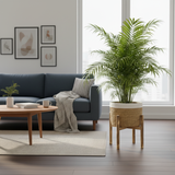 Waterproof Rattan Pot with Wooden Base