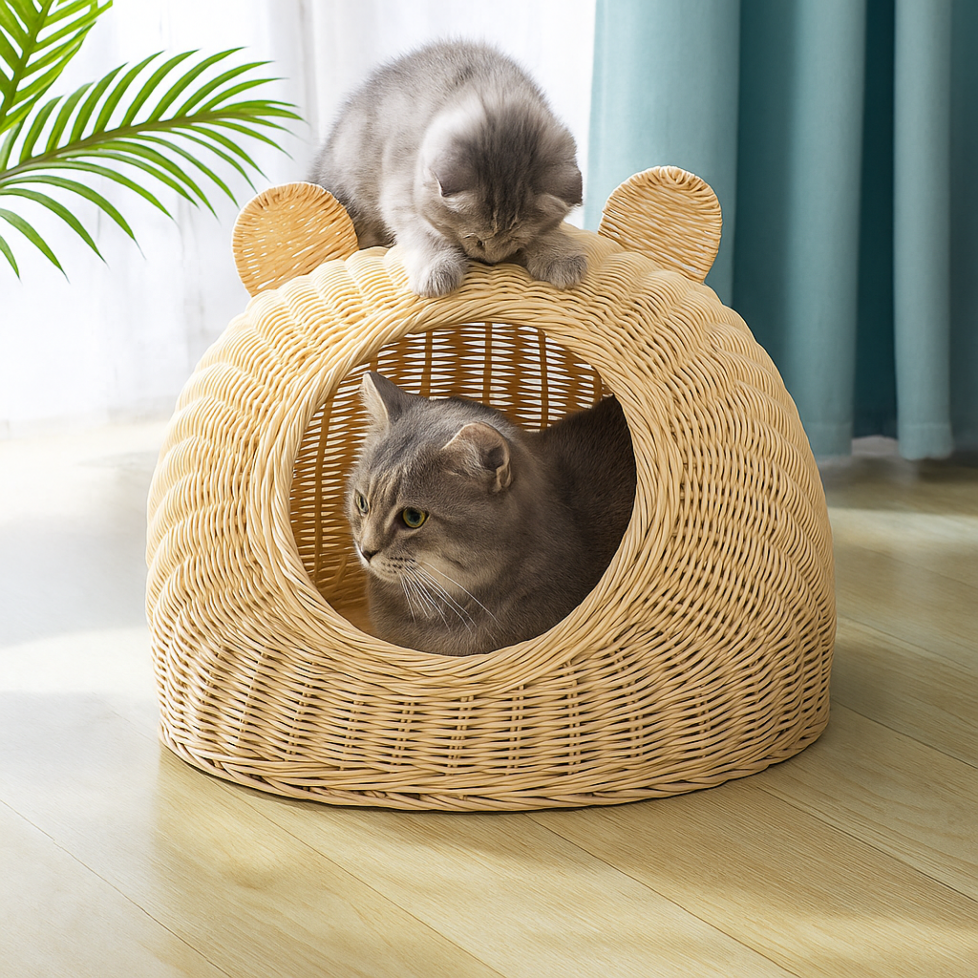 Rattan Cat Ear Dome Bed