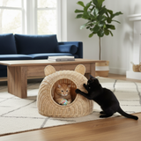 Rattan Cat Ear Dome Bed
