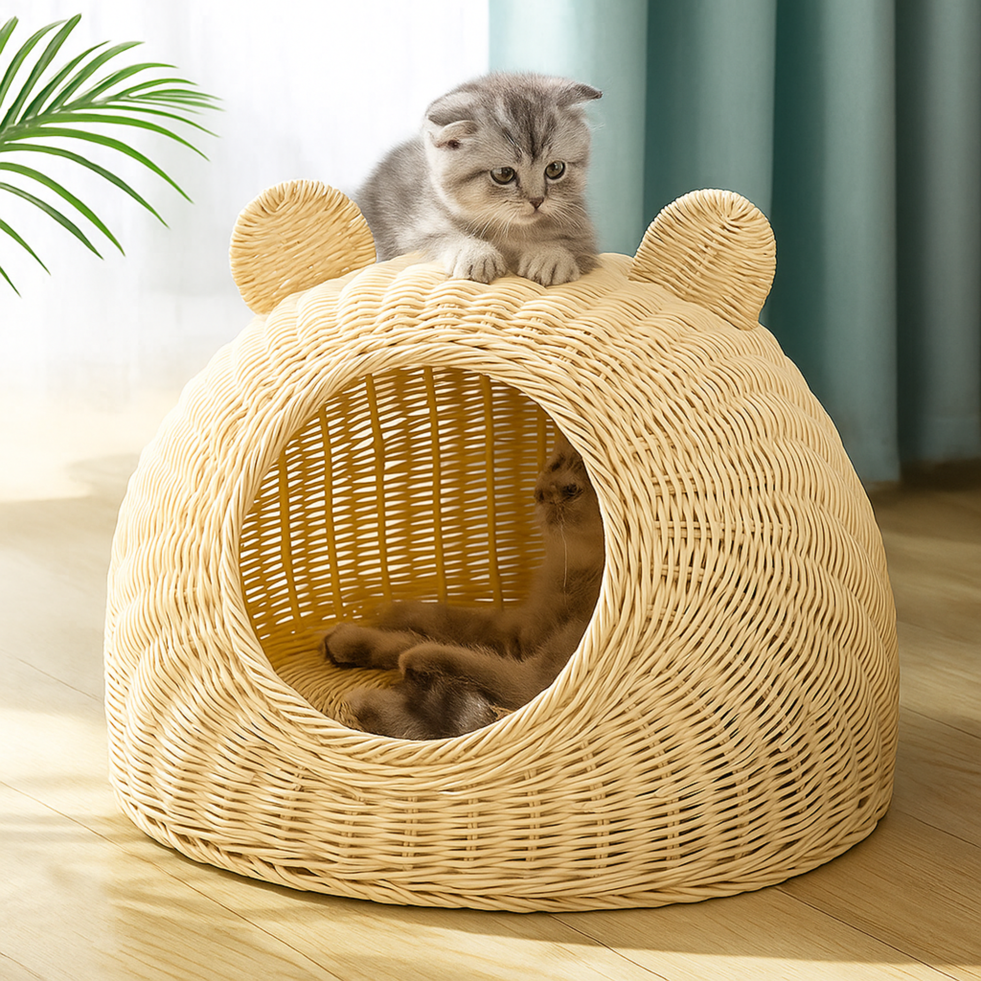 Rattan Cat Ear Dome Bed