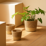 Rattan Waterproof-Lined Plant Basket