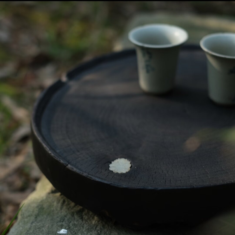 Natural Wood Slice Tray