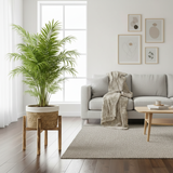 Waterproof Rattan Pot with Wooden Base