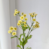Glass Flower Vase with Rattan