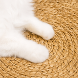 Round Rattan Cat Scratch Mat