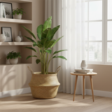 Nordic Rattan Waterproof-Lined Plant Pot