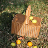 Kens outdoor picnic basket with lid imitation rattan shopping basket portable fruit basket shopping basket net red shooting props