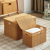 Woven Lidded Rattan Storage Basket