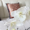 Vintage Pillow Cover